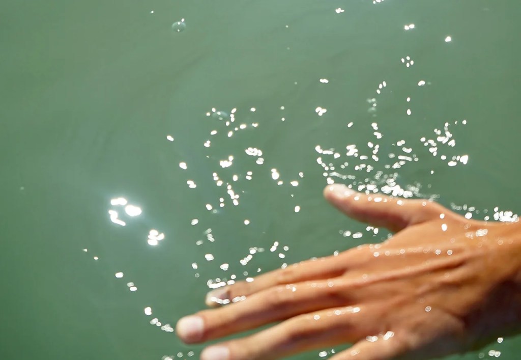 photo of hand in water